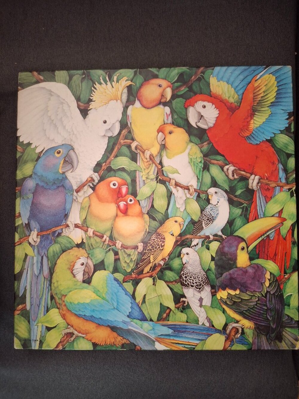 Vintage EUC Springbok jigsaw puzzle "Jungle Birds"